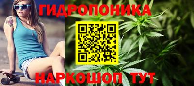 прущие грибы Апрелевка
