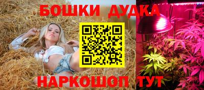 прущие грибы Апрелевка