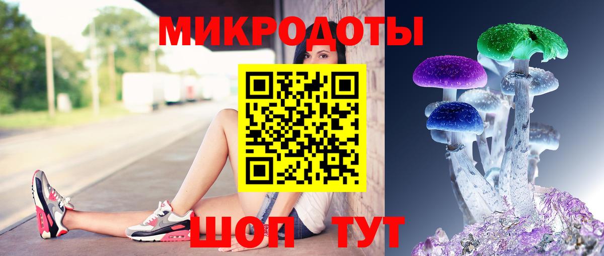Галлюциногенные грибы Psilocybine cubensis Братск